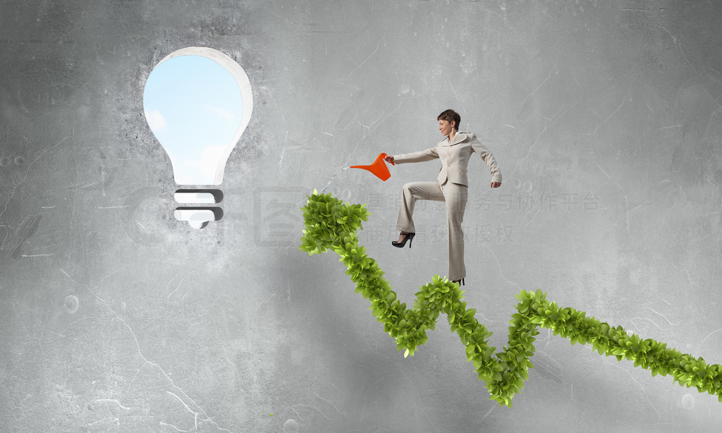 綠色增長(zhǎng)圖 女實(shí)業(yè)家通過(guò)資產(chǎn)管理實(shí)現(xiàn)收入增長(zhǎng)的策略